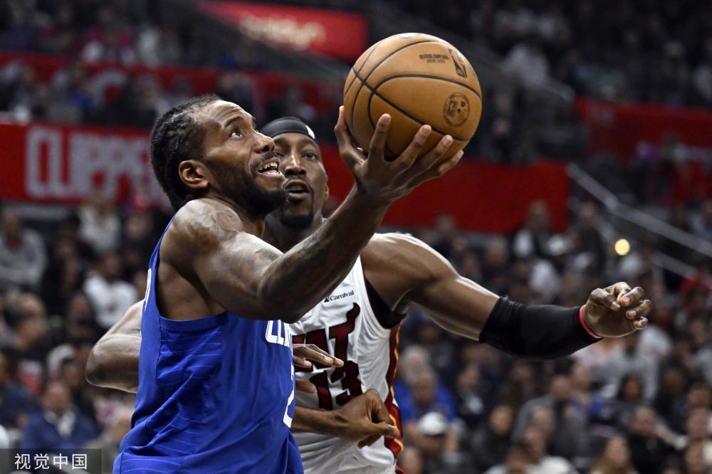 族的多样性 族的多样性